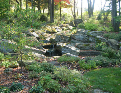 Berry Waterfall